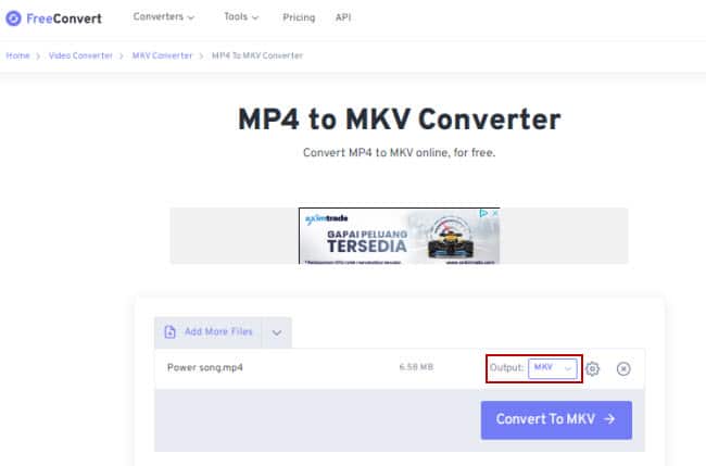 Freeconvert.com convert mp4 to mkv