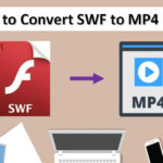 convert SWF to MP4