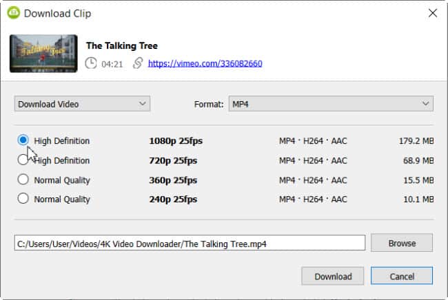4K video downloader download settings